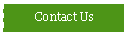 Text Box: Contact Us
